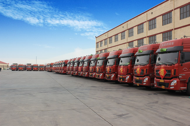 車隊(duì)展示 車隊(duì)展示